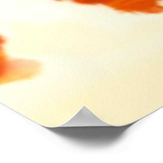 Poster Saturne V (Coin)