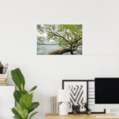 Poster Saule au lac (Bureau à domicile)