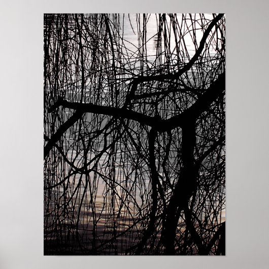 POSTER SAULE PLEUREUR D'HIVER (Devant)