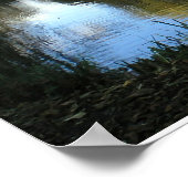 Poster Saule plumant près du lac (Coin)