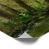 Poster Saule sur la rivière Test (Coin)