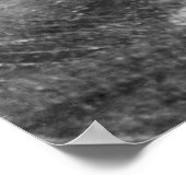 Poster Saumon à l'Astoria, OU photo (Coin)