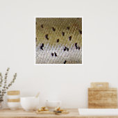 Poster Saumon Atlantique (Cuisine)