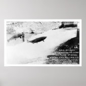 Poster Saumon Jumping Alaska 1907 (Devant)