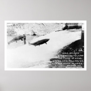 Poster Saumon Jumping Alaska 1907