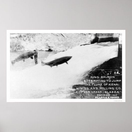 Poster Saumon Jumping Alaska 1907 (Devant)