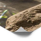 Poster saut à vélo de montagne descendant (Coin)