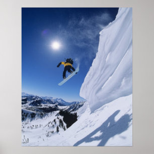 Poster Saut dans le canyon de Snake Creek depuis Clayton
