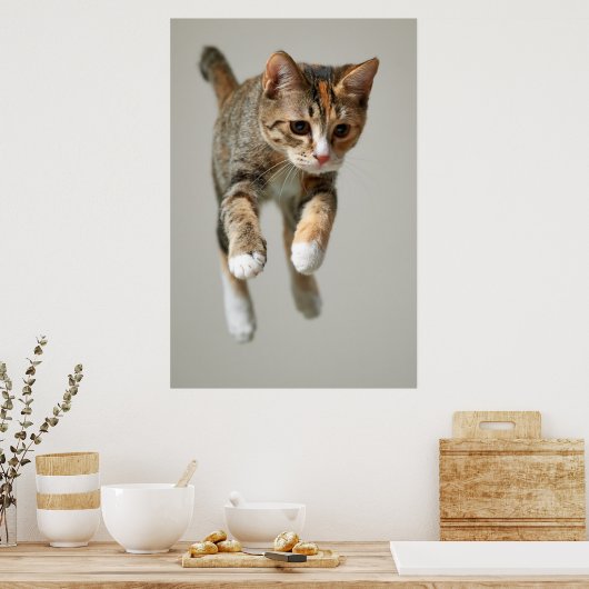 Poster Saut de chat Calico (Cuisine)
