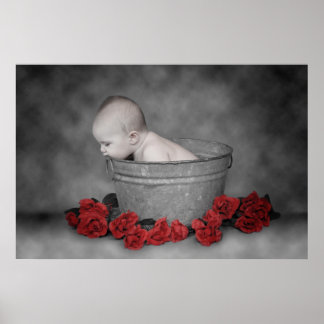 Poster Saut et Roses