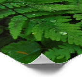 Poster Saute loin des rain drops (Coin)