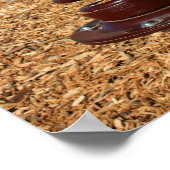 Poster Sauteur de poisson (Coin)