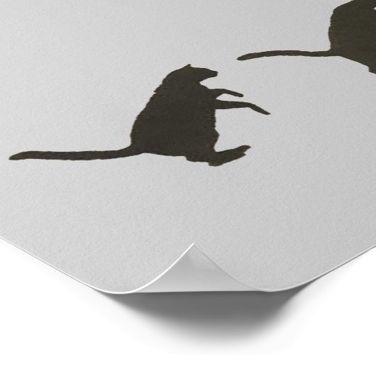 Poster Sauts de chats (Coin)