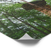 Poster Sauts de chiens de Stand Rock dans les cloches du (Coin)