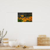 Poster sauvage et libre (Cuisine)