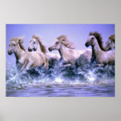 Poster Sauvage et libre, Camargue Horses (Devant)