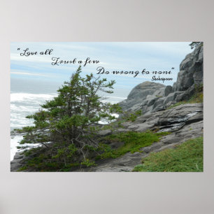 Poster Sauvage Mer Shakespeare Ne vous trompez pas