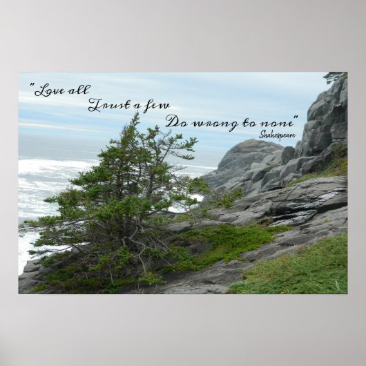 Poster Sauvage Mer Shakespeare Ne vous trompez pas (Devant)