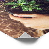 Poster Sauvegarder La Planture Arbre De l'environnement (Coin)