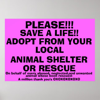 POSTER SAUVEGARDEZ UN ADOPT DE VIE !