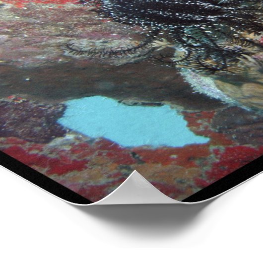 Poster Sauver nos océans (Coin)