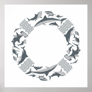 Poster Sauvez la vie des requins