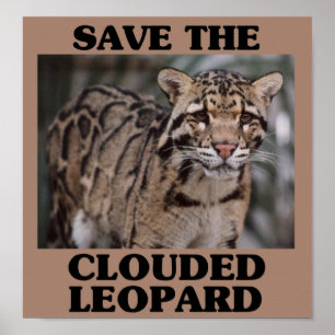 Poster Sauvez le léopard couvert