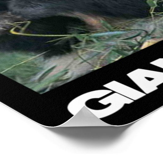 Poster Sauvez le panda géant (Coin)