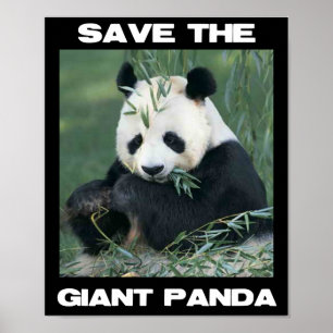 Poster Sauvez le panda géant