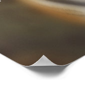 Poster Sauvez le tigre amur de Sibérie Tiger (Coin)