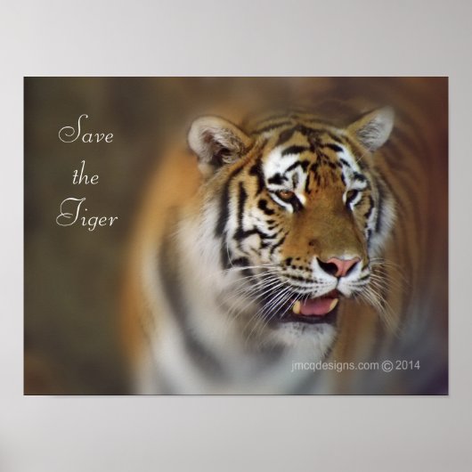 Poster Sauvez le tigre amur de Sibérie Tiger (Devant)