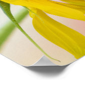 Poster Sauvez les abeilles (Coin)