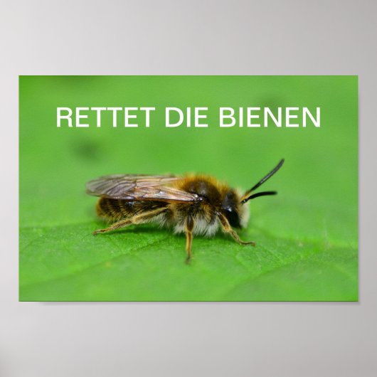 Poster Sauvez les abeilles (Devant)