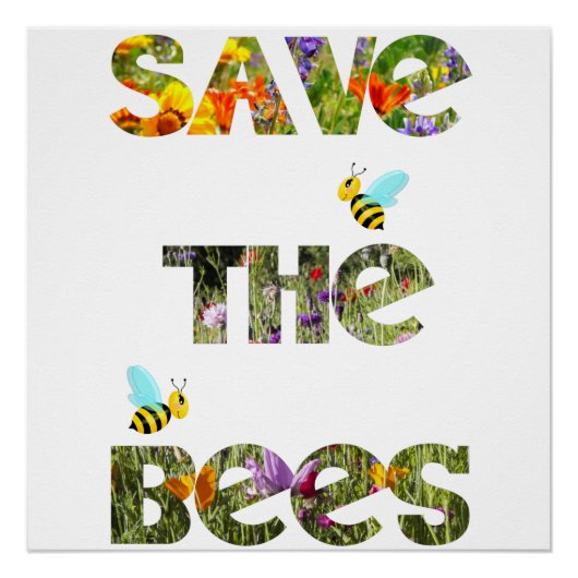 Poster Sauvez les abeilles (anglais) (Devant)