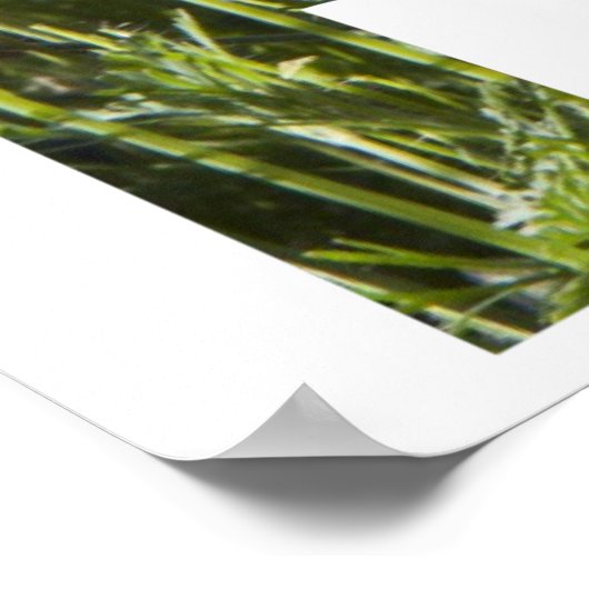 Poster Sauvez les abeilles, des lettres florales avec les (Coin)