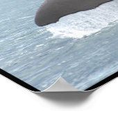 Poster Sauvez les baleines (Coin)