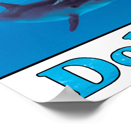 Poster Sauvez les dauphins (Coin)