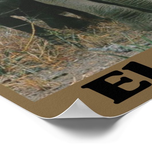 Poster Sauvez les éléphants (Coin)