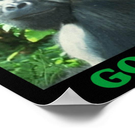 Poster Sauvez les gorilles (Coin)