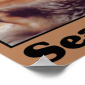 Poster Sauvez les loutres de mer (Coin)