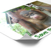 Poster Sauvez les Orangutans (Coin)