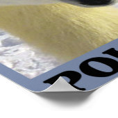 Poster Sauvez les ours polaires (Coin)