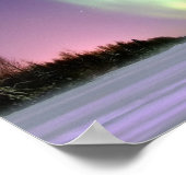 Poster Sauvez les ours polaires menacés (Coin)