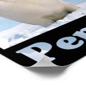 Poster Sauvez les pingouins (Coin)