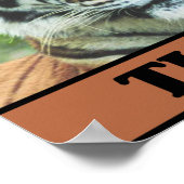 Poster Sauvez les tigres (Coin)