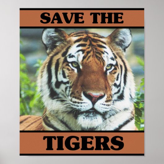 Poster Sauvez les tigres (Devant)