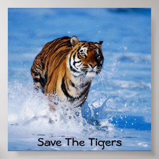Poster Sauvez Les Tigres