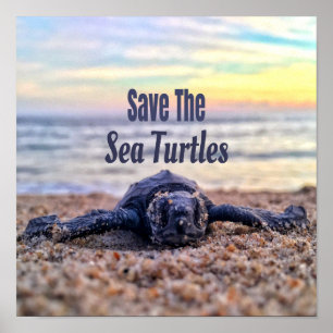 Poster Sauvez les tortues marines