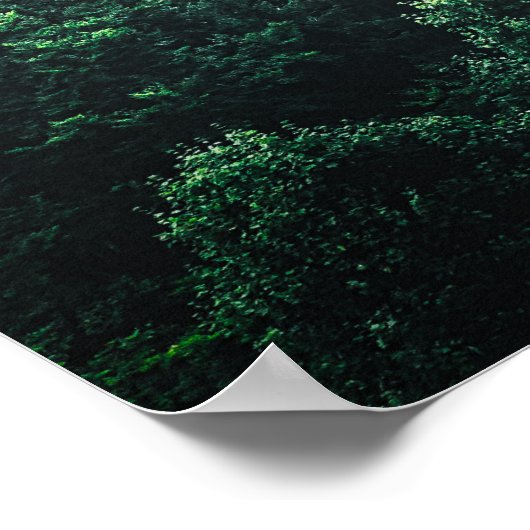 Poster Sauvez l'oxygène des arbres avec une image de forê (Coin)