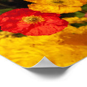 Poster Sauvez Notre Belle Planète Jolies Fleurs Lumineuse (Coin)